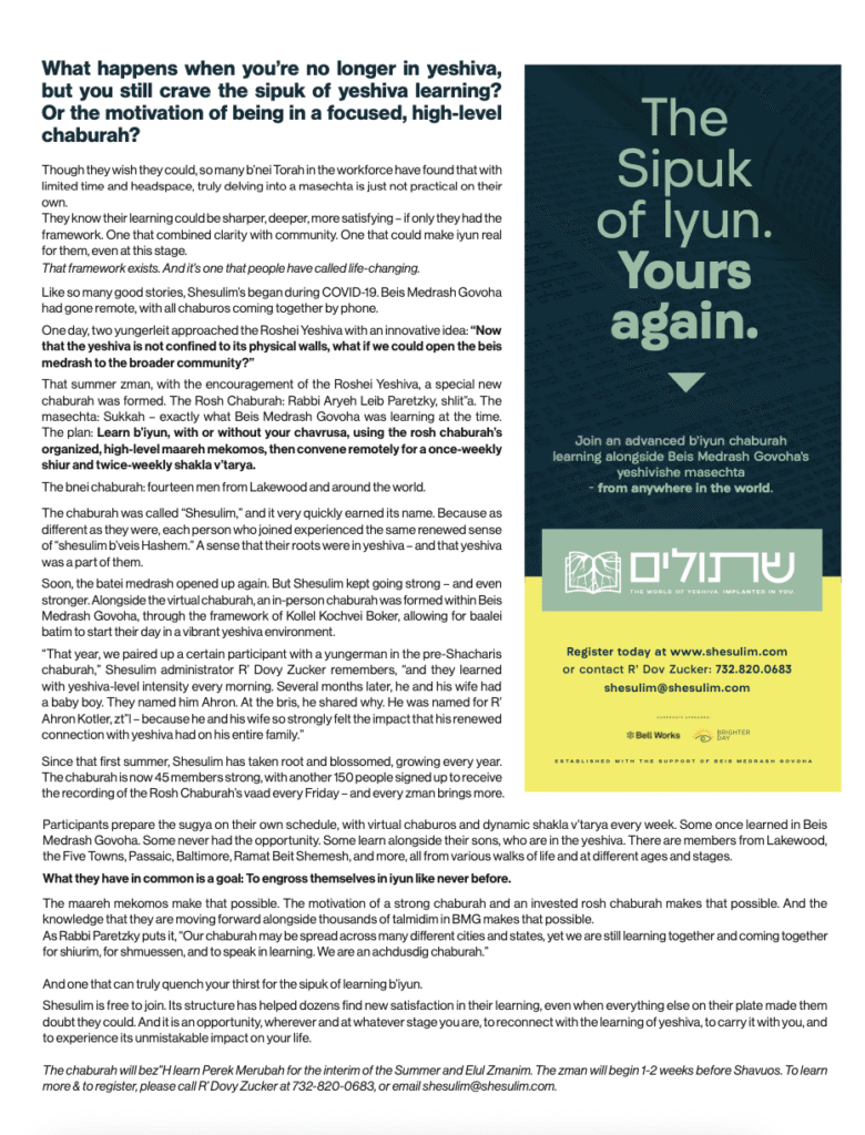 Shesulim Flyer